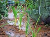 Leaks in water
