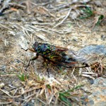 dsc_2577_edited-1