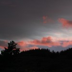 dsc_2861
