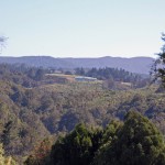 DE HQ from Tunnel Gully DE HQ from Tunnel Gully