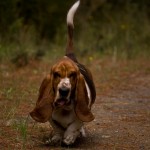 Mason running