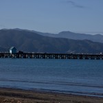 dsc_4525 dsc_4525
