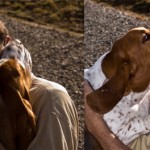 bassets-being-neighbourly bassets-being-neighbourly