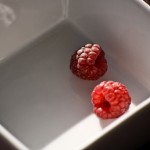 dsc_5363 dsc_5363