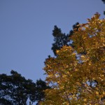 Autumn skie Autumn skie