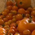 Tomatoes Tomatoes