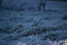 Bright night skies bring freezing conditions