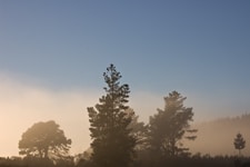 Winter’s morning – a photo study
