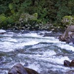 Hutt River Hutt River