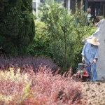 Landscaping the easy way