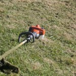 Strimmer Strimmer