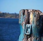 DSC_5267 150 DSC_5267 150