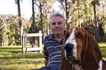 A basset who loves his master