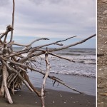 driftwood driftwood