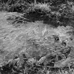 Puddle