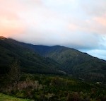 DSC_2753 150 (1)