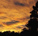DSC_2790 150
