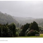 Rain chased