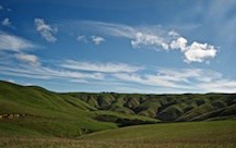 Classic New Zealand View
