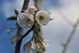 DSC_5344 150 DSC_5344 150