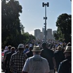 Sporting Crowds - The Ashes
