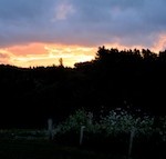 DSC_8514 150