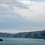 Cruise Ship in Akaroa Harbour