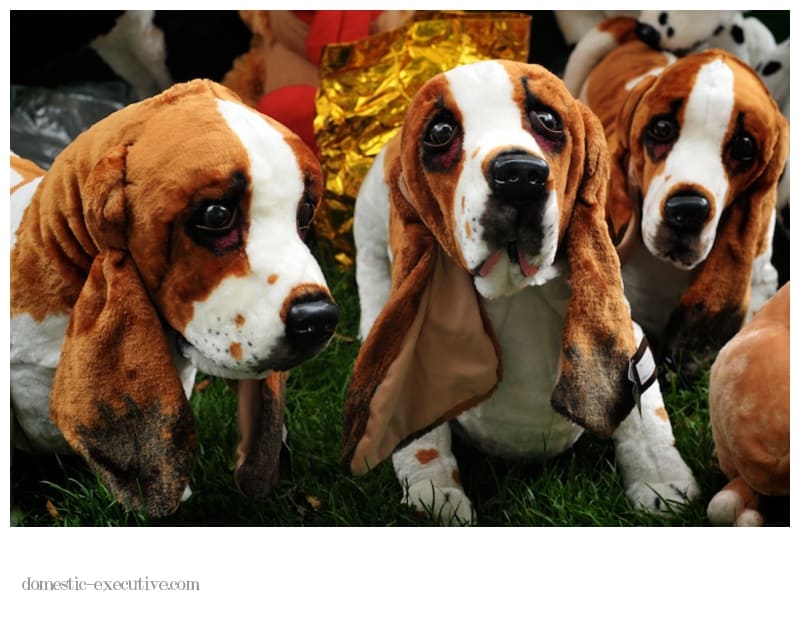 Bassets