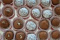 800 DSC_5413 - 2011-12-24 at 07-35-58