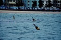 800 DSC_6142 800 DSC_6142
