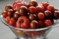 Pomme D'Amour