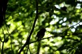 800 DSC_697210 800 DSC_697210