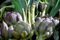 Spring Veg 027