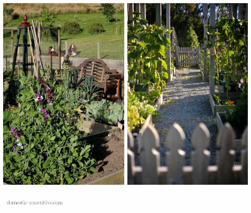 Kitchen Garden 113