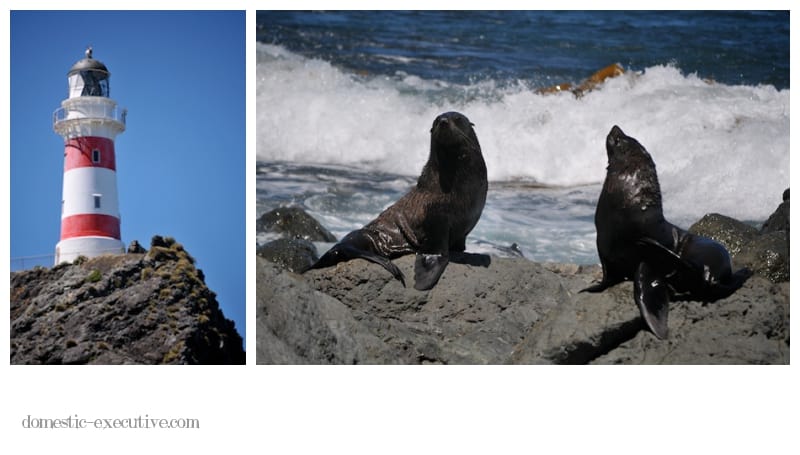 Cape Palliser Lighthouse 002