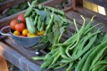 Kitchen garden 009