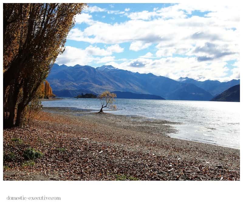 Wanaka Wanaka 2013 04 25 P42503883