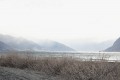 Wanaka