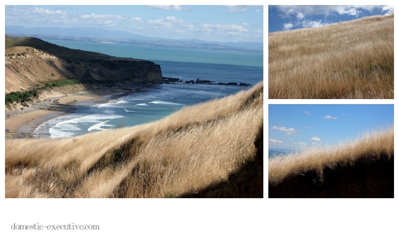 Cape Kidnappers 2014 03 033