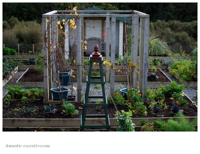 Kitchen Garden 2014-06-083 (1)