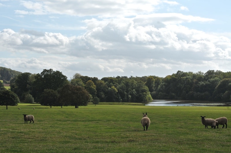 English Landscape