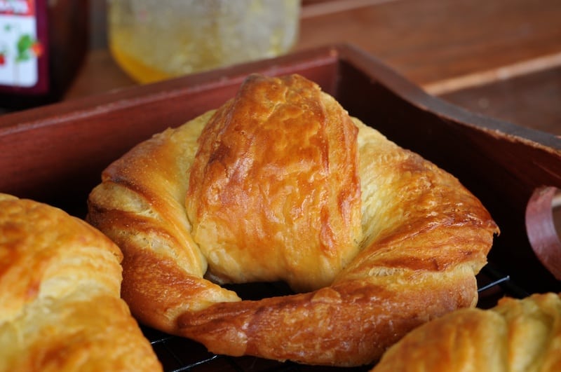 Croissants: the ultimate baking marathon