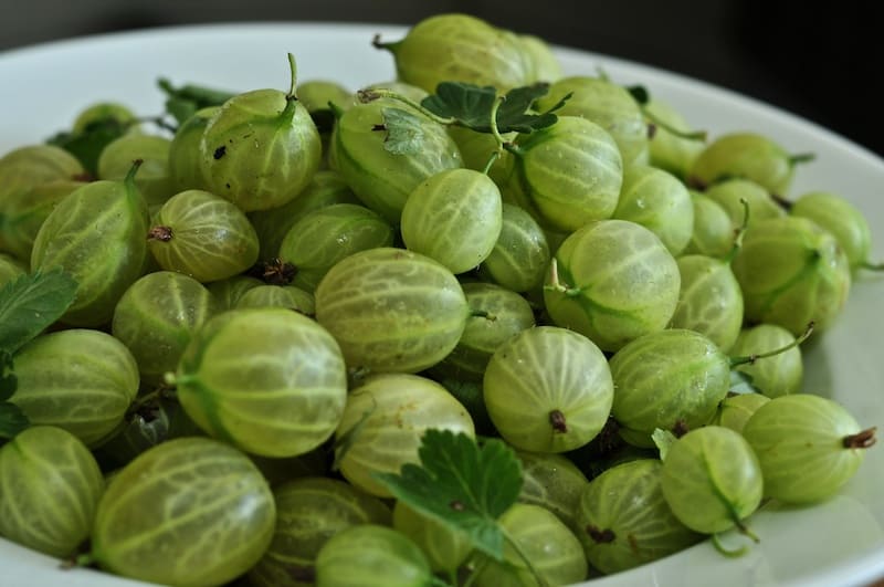 Gooseberry goodness