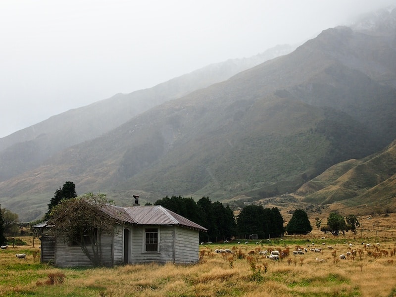 Daily Snap: Heartland